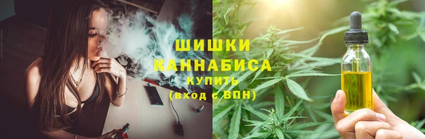 кокс Арсеньев
