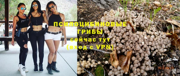 таблы Аркадак