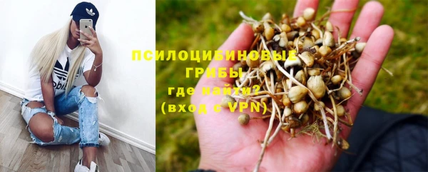 кокс Арсеньев