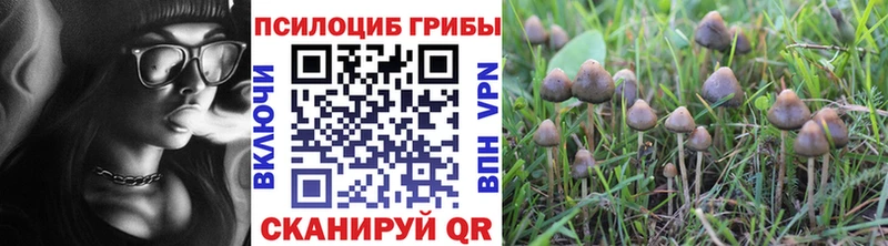 цены наркотик  Светлоград  Псилоцибиновые грибы Psilocybine cubensis 